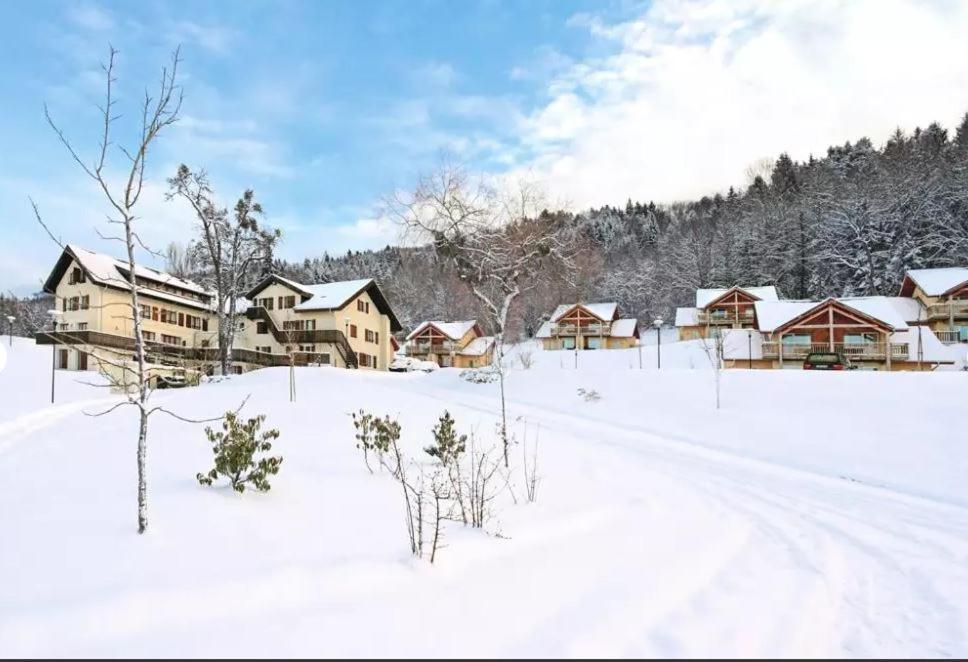 Duplex-Chalet Entre Lac Et Montagne Avec Balcon Lugrin Exterior photo